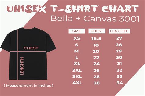 Bella T Shirt Size Chart