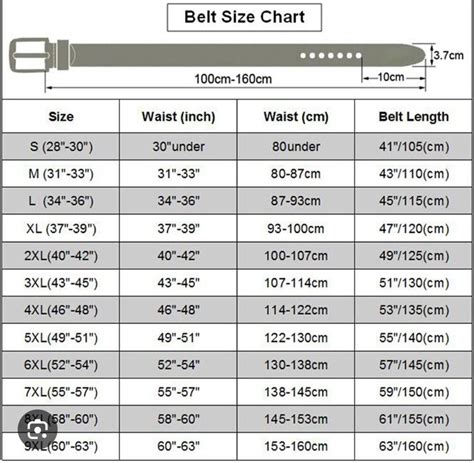 Belt Size Chart In Cm