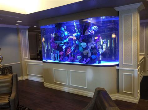 Benefits of Buying a Large Fish Tank