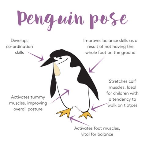 Benefits of Exercise Penguin for the body