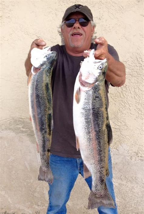 Best Bait for Fishing at Lake Isabella