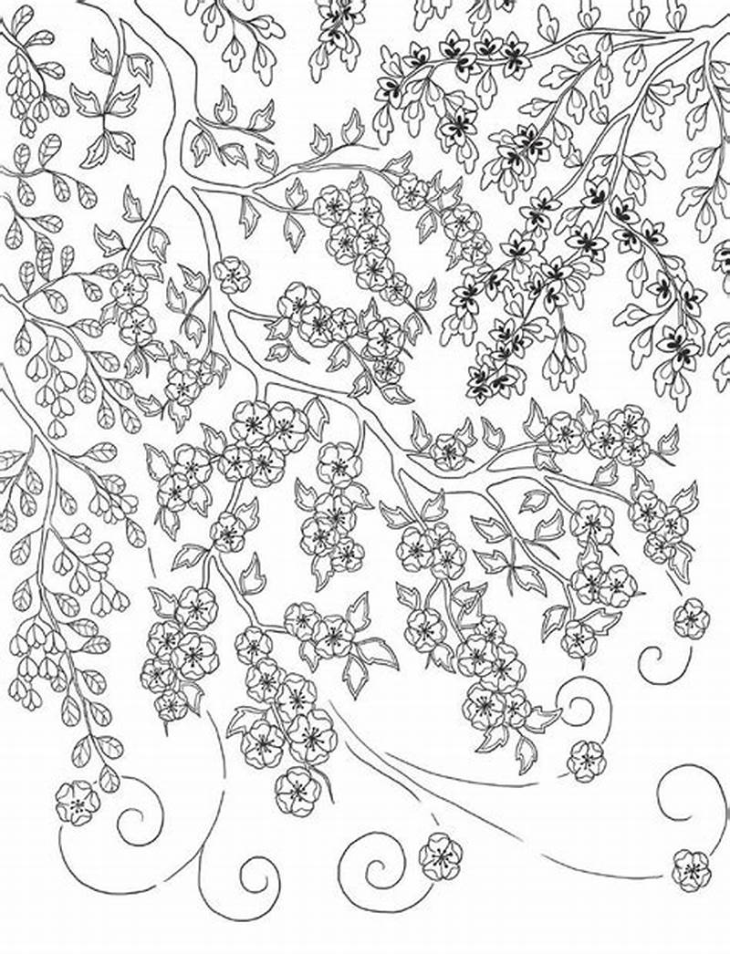 Best File Ext For Coloring Pages