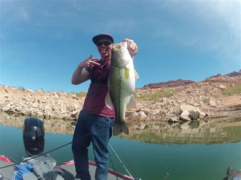 Best Spots for Fishing in Arizona