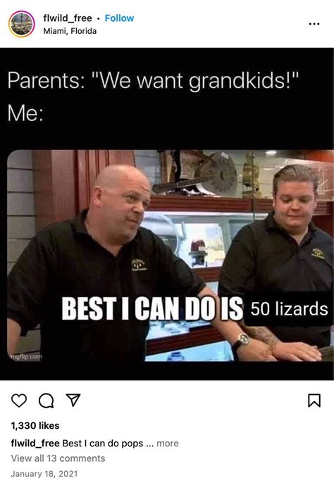 Best I Can Do Meme Template