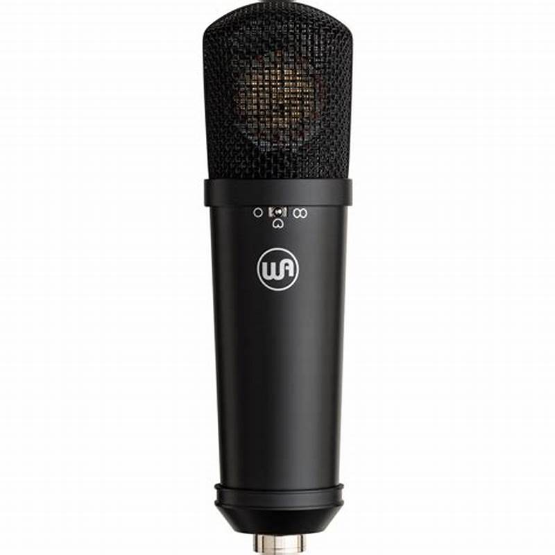 Best Multi Pattern Condenser Mic