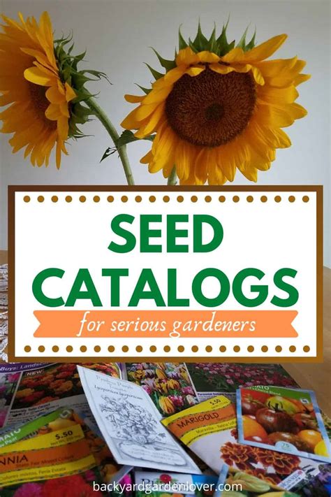 Best Online Seed Catalogs