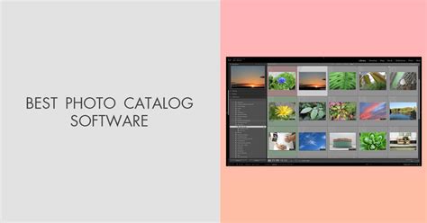 Best Photo Catalog Software For Mac