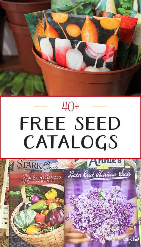 Best Seed Catalogs Free