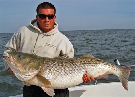 Best Time to Fish in Ocean City NJ