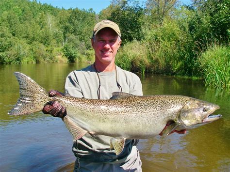 Betsie River Fishing Report