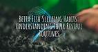 Betta Fish Sleeping Habits and Requirements