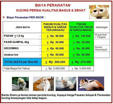 Biaya Perawatan Kucing yang Lebih Tinggi