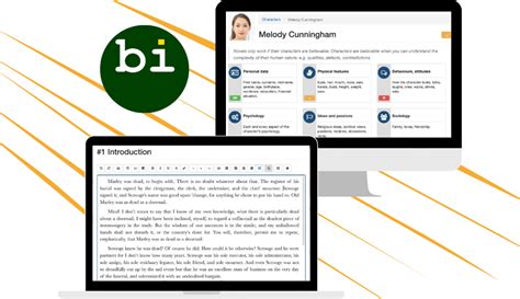 Bibisco Software