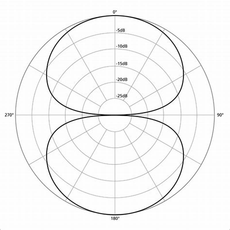 Bidirectional Microphone Pattern