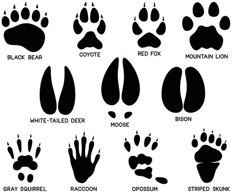 Big Printable Animal Footprints
