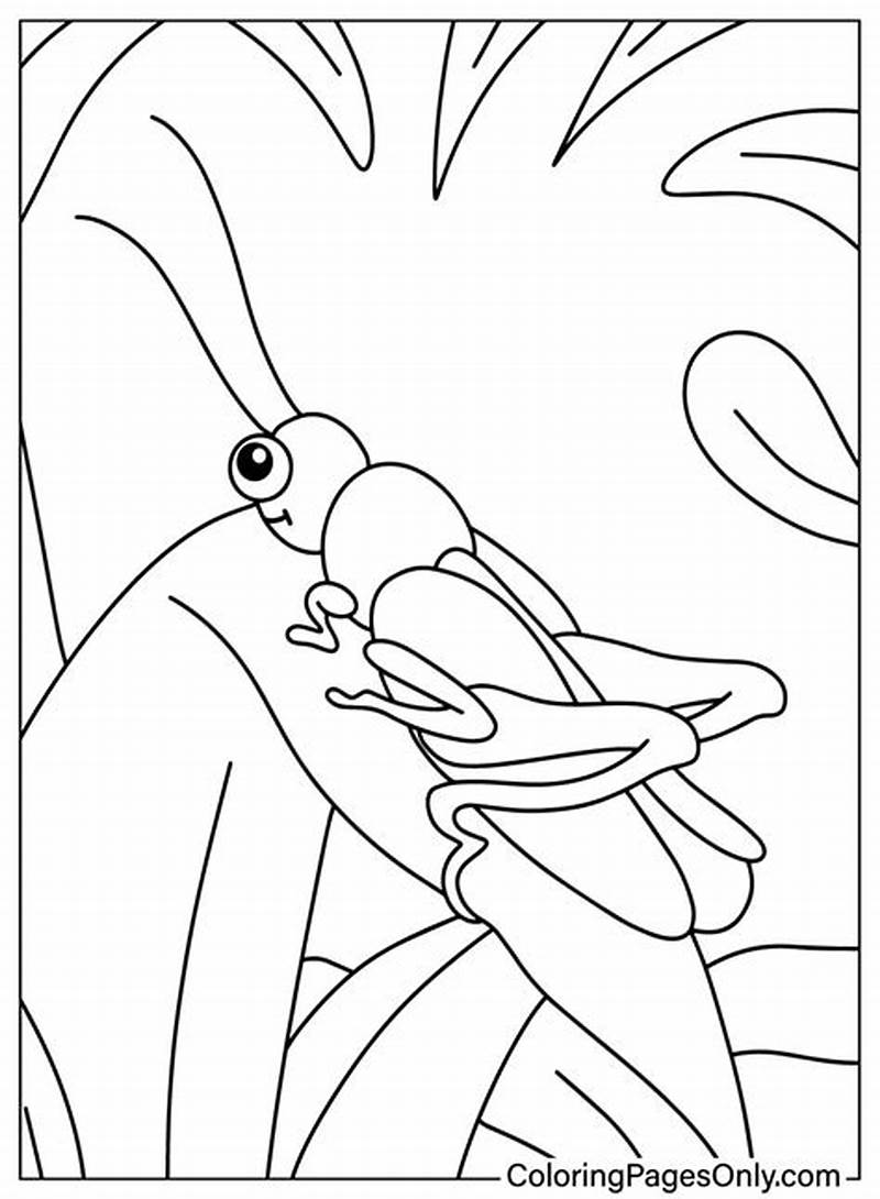 Big Spring Insects Printables Coloring Pages