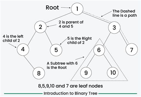 Binary Tree illustration