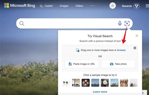 Bing