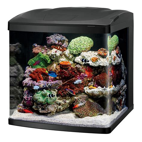 Bio Cube Fish Tank