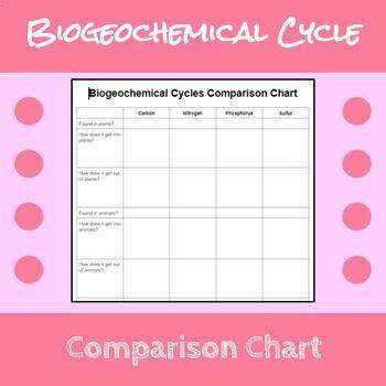 Biogeochemical Cycles Comparison Chart
