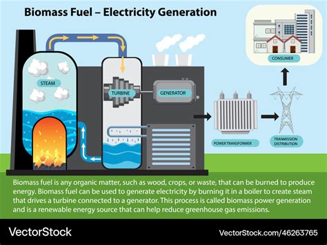 Biomass fuel