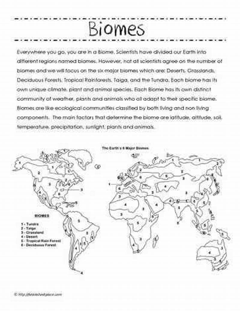 Biome Map Coloring And Analysis Answer Key