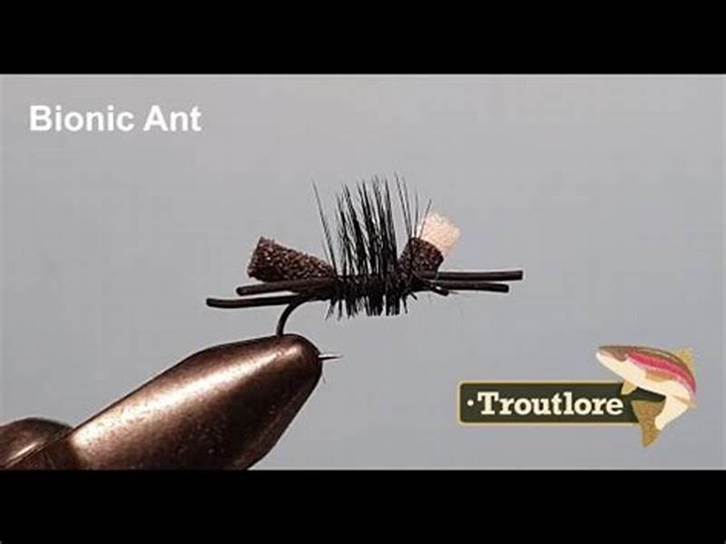 Bionic Ant Fly Pattern