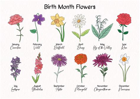 Birth Flowers Chart