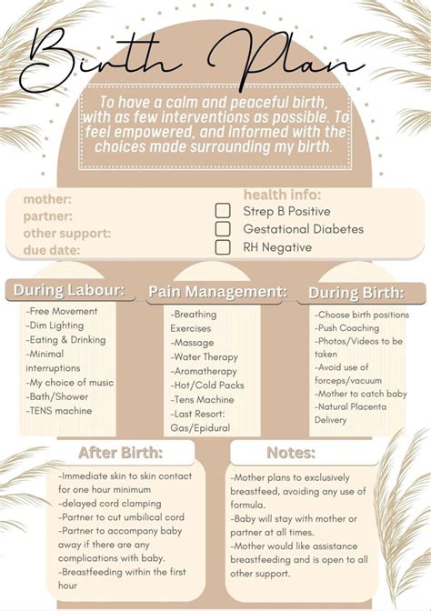Birth Plan Template For Natural Birth