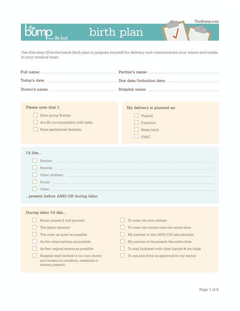 Birthing Plan Template