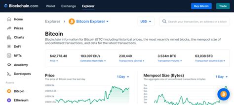 Blockchain Explorer Tutorial: How to Read Transactions