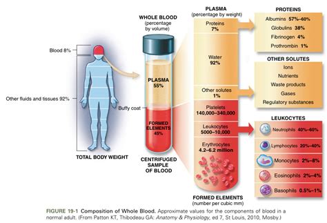 Blood Plasma Plasma Color Chart