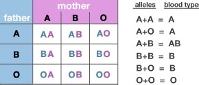 Blood Type Alleles Chart