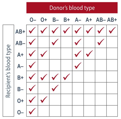 Blood Type Chart Compatibility