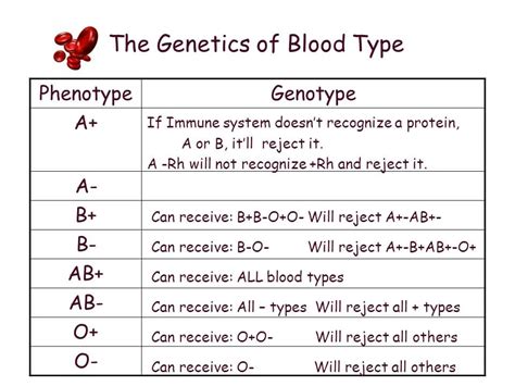 Blood Type Chart Genetics