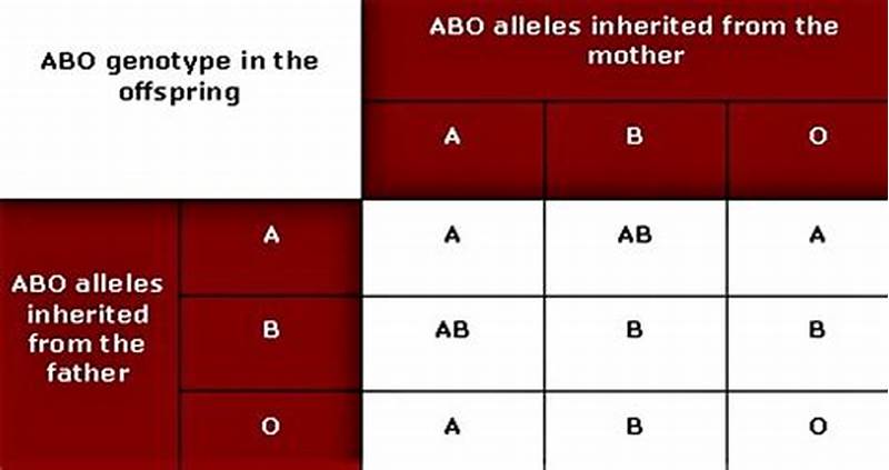 Blood Type Pattern Of Inheritance