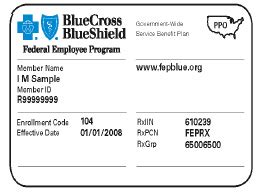 Blue Cross PPO Insurance Card Sample