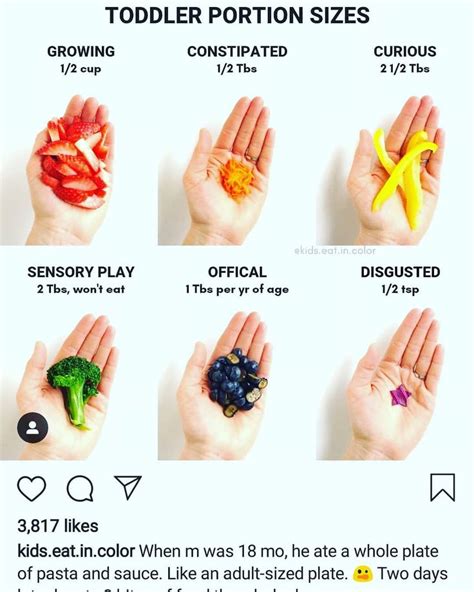 Blw Food Size Chart