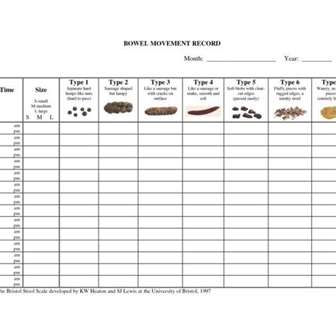 Bm Chart Printable