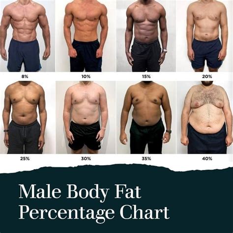 Body Fat Percentage Chart Man
