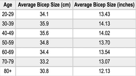Bodybuilder Biceps Size Chart