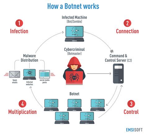 Botnet Network