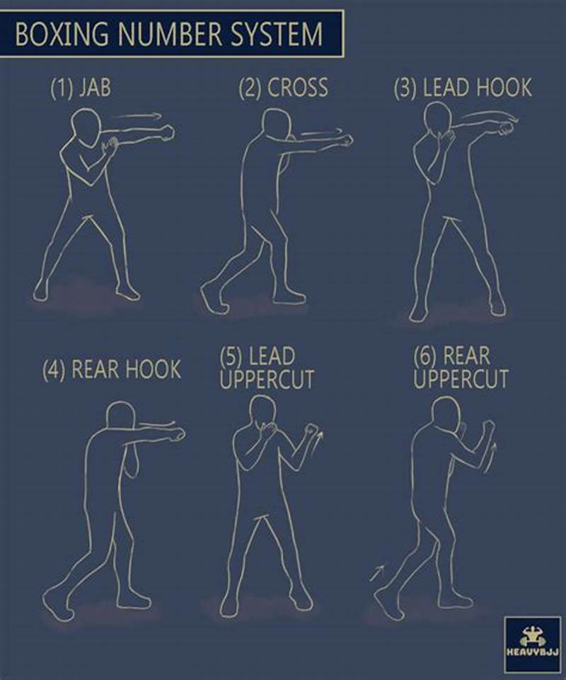 Boxing Numbers Chart