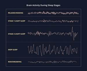 Brain Activity During Sleep