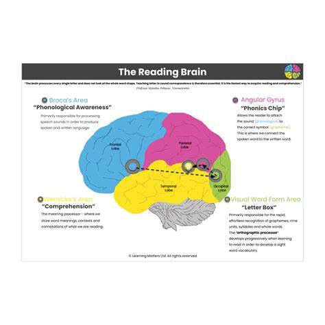 Brain activity reading description
