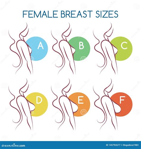 Breast Type Chart