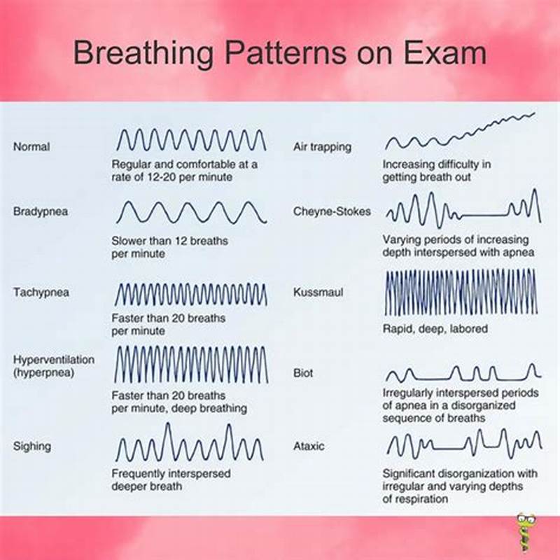 Breathing Pattern Types