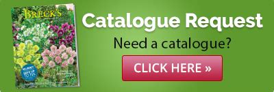 Brecks Flowers Catalog