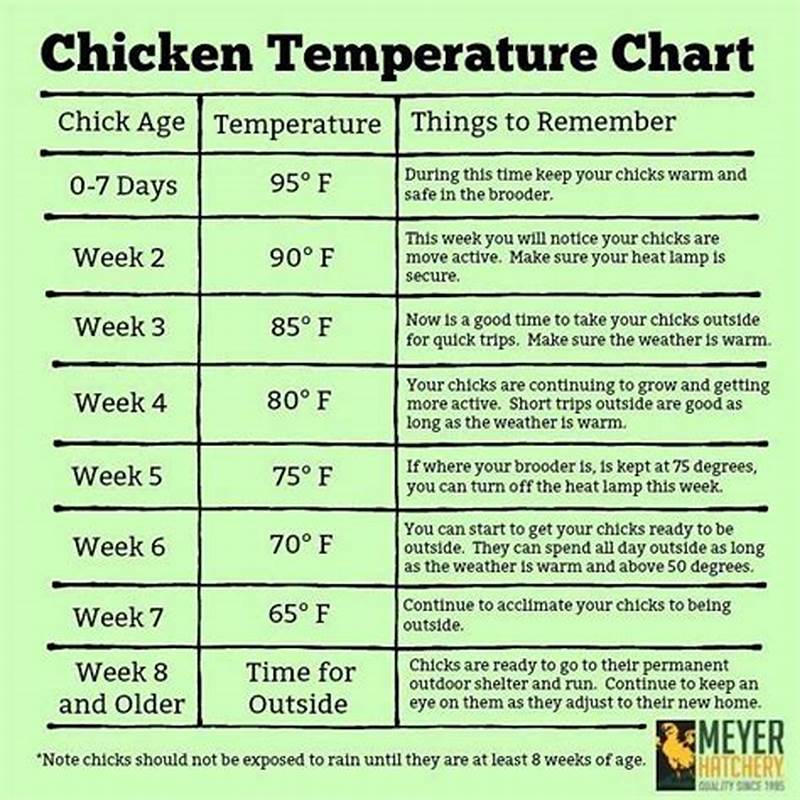 Brooder Temperature Chart