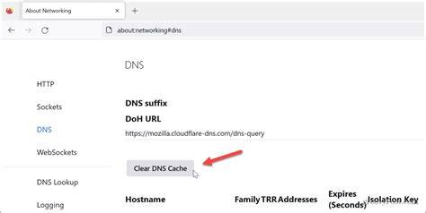 Browser cache and DNS issue